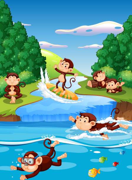 猴子玩水