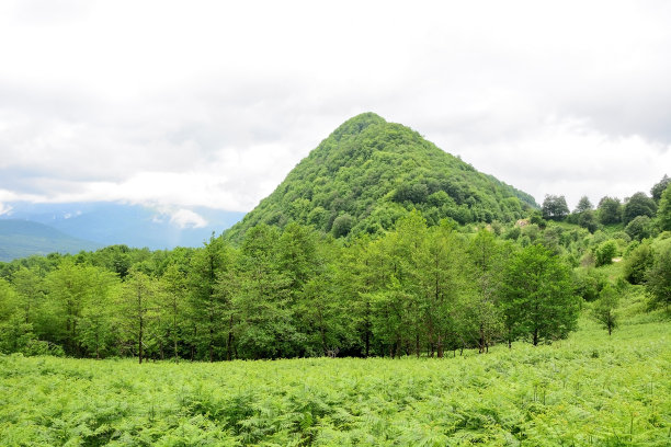 风景素材薄雾远山草地树林