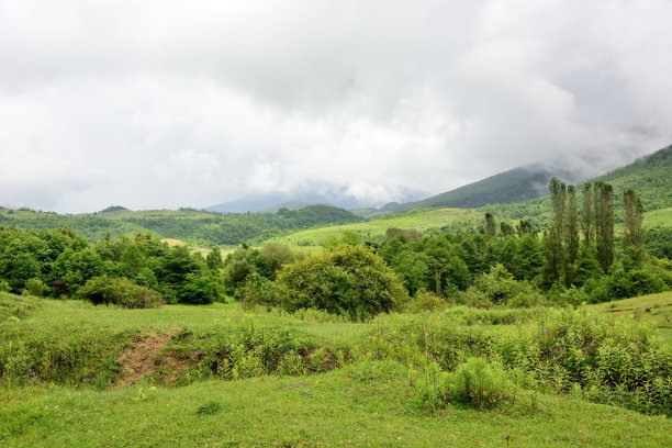 风景素材薄雾远山草地树林