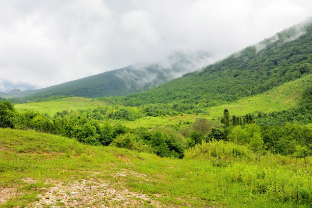 风景素材薄雾远山草地树林