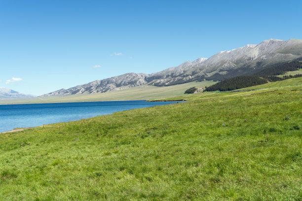 夏天新疆赛里木湖的自然风景