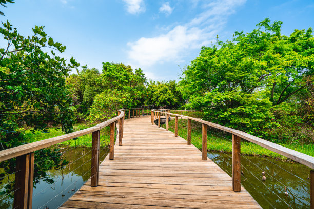 公园湿地游园景观木桥