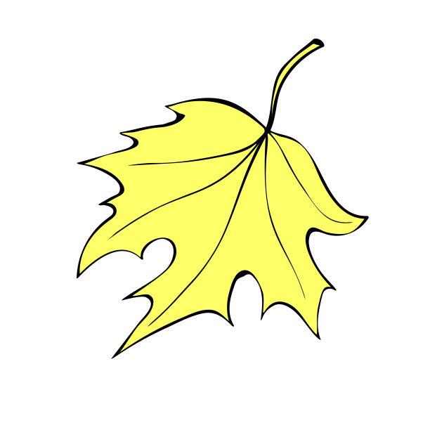 葡萄树logo