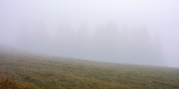 风景素材薄雾远山草地树林