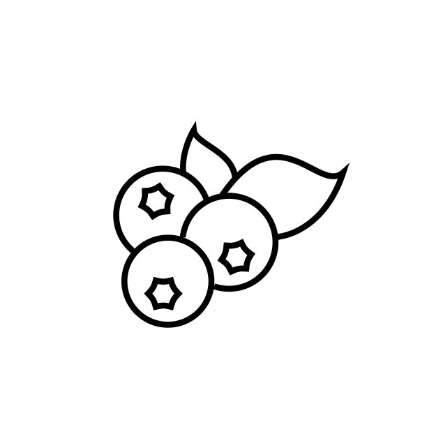 蓝莓ui标识标志