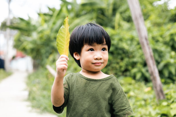 清凉一夏亲子活动