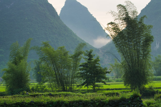 夏日的小河