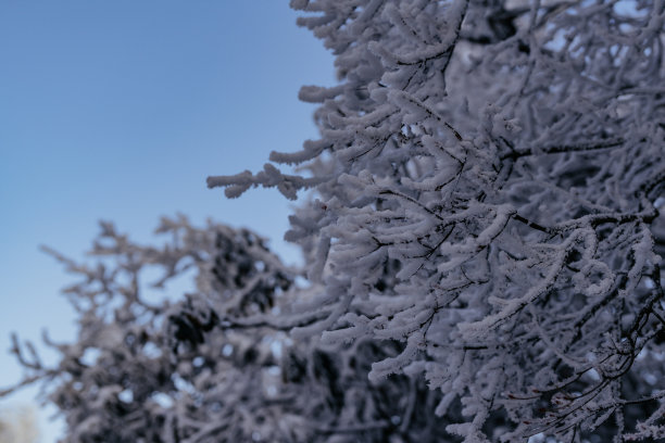 峨眉山雪景