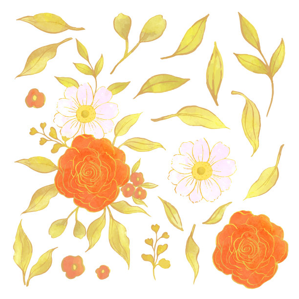 手绘花卉与叶子