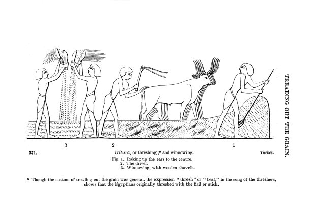 木版画,古埃及文明,雕刻图像
