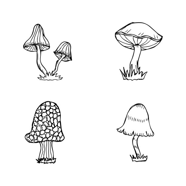 白底蘑菇极简标志设计