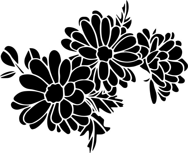 黑白菊花花卉设计