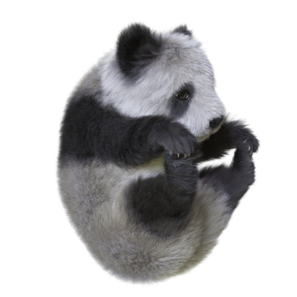 熊猫场景