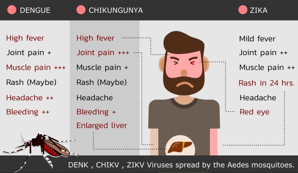 登革热,在之间,比较