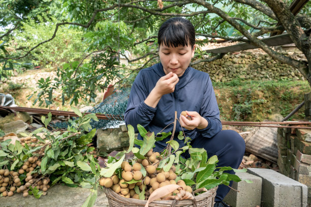 只要努力就能脱贫