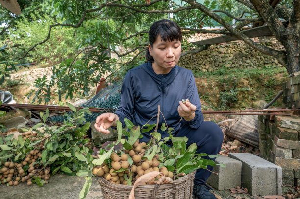 只要努力就能脱贫