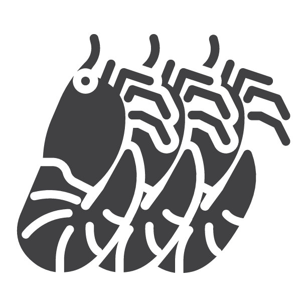 老虎logo图标
