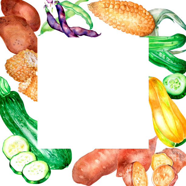地瓜logo