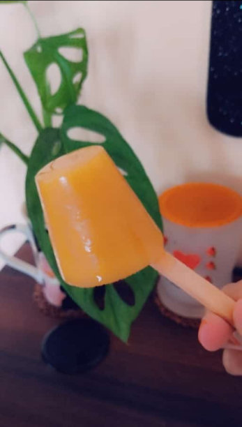 橙汁冰棍
