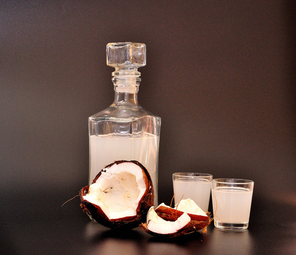 酒瓶椰子