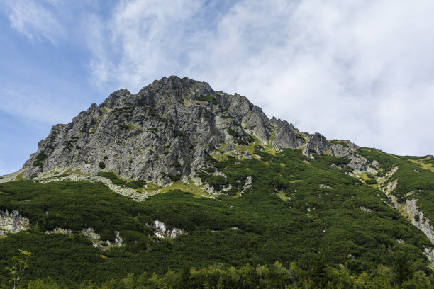 大山名片