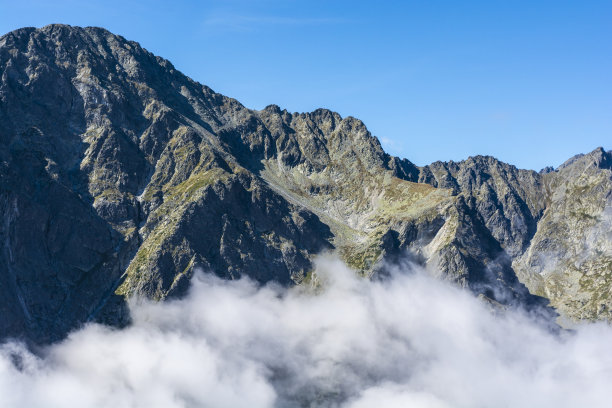 大山名片