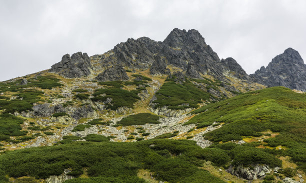 大山名片