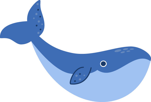 手绘鲸鱼插画