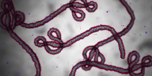 埃博拉出血热
