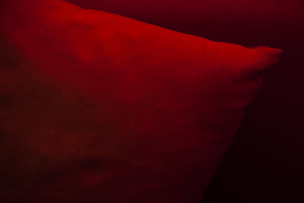 红色花纹的现代风格沙发面料特写