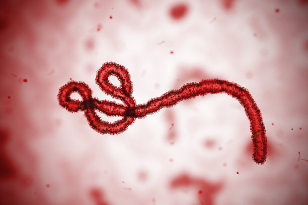 埃博拉出血热