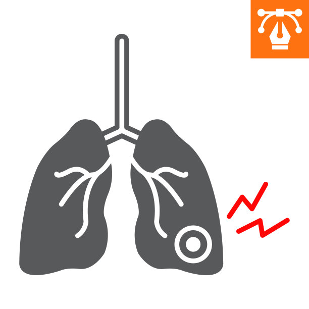 呼吸系统,支气管,人类肺脏