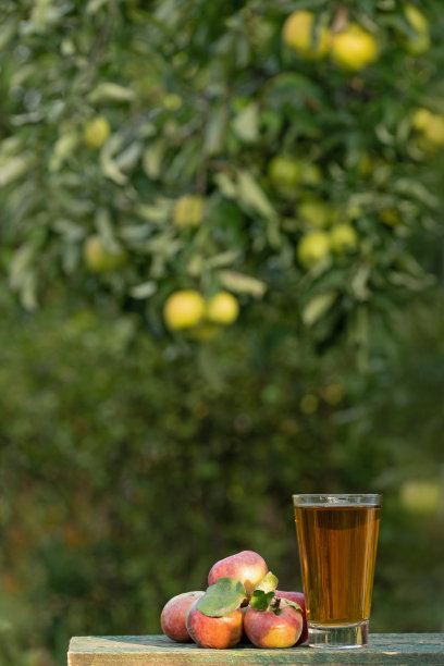 苹果汁易拉罐