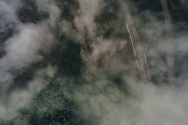 风景素材薄雾远山草地树林