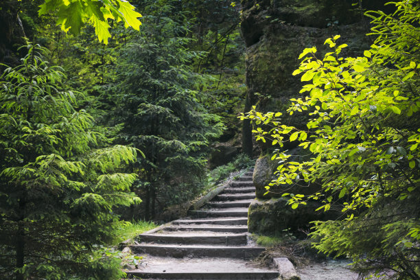 林中石头阶梯