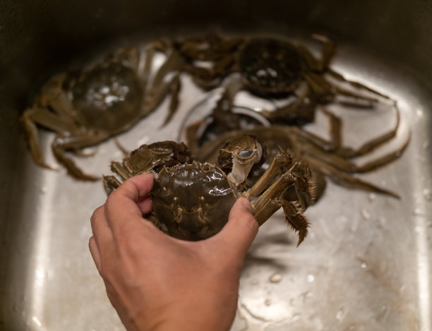 淡水蟹,烹调,螃蟹