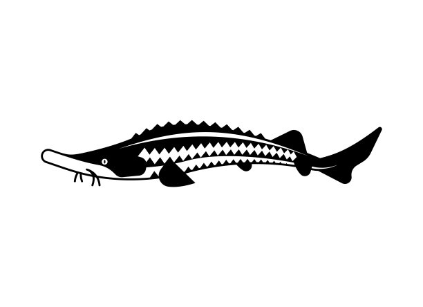 鲟鱼logo