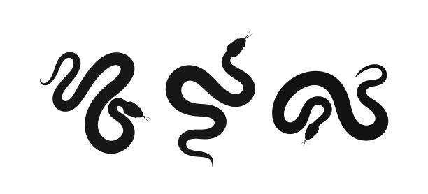 蟒蛇logo