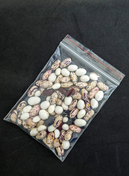 芸豆种子包装