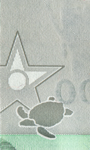 金钱龟logo