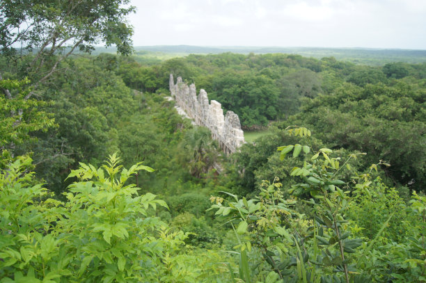 热带雨林城堡