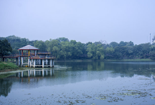 雨过天晴后的公园湖泊