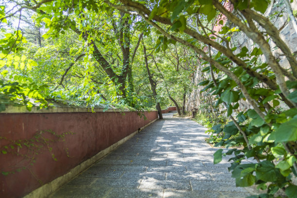 人行道地砖台阶路面