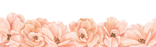 彩绘粉色玫瑰花框架设计