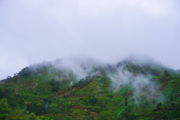 风景素材薄雾远山草地树林