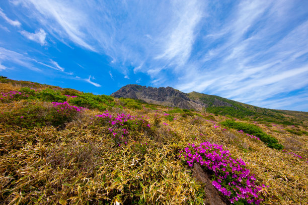 山间楼梯油画