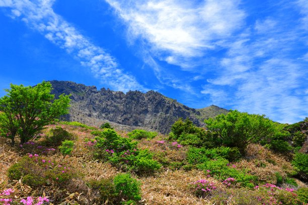 山间楼梯油画