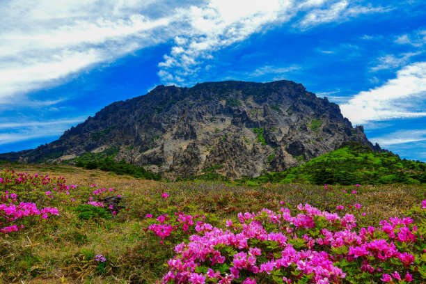 山间楼梯油画