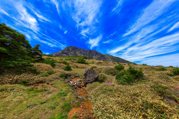 山间楼梯油画