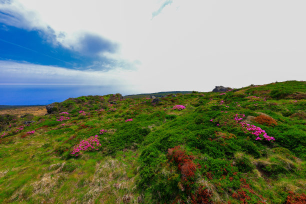 山间楼梯油画